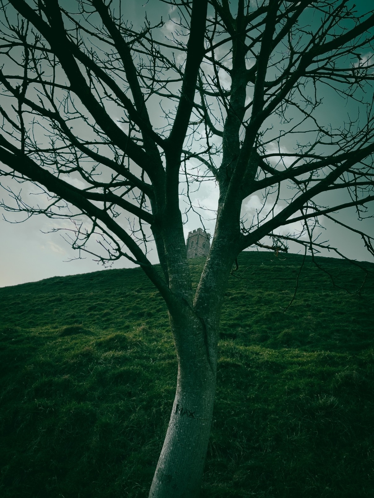 Glastonbury. Somerset. England.