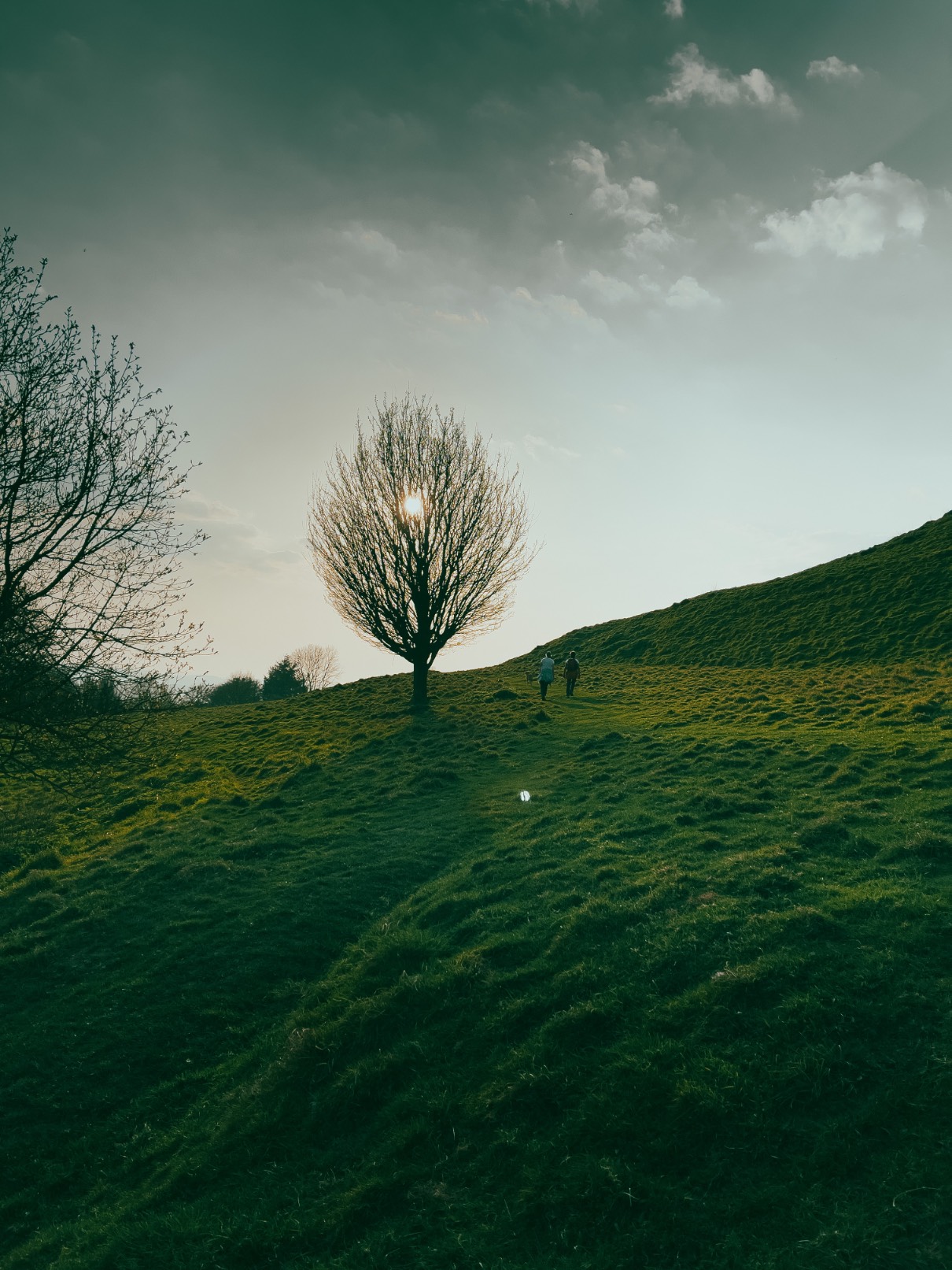 Glastonbury. Somerset. England.