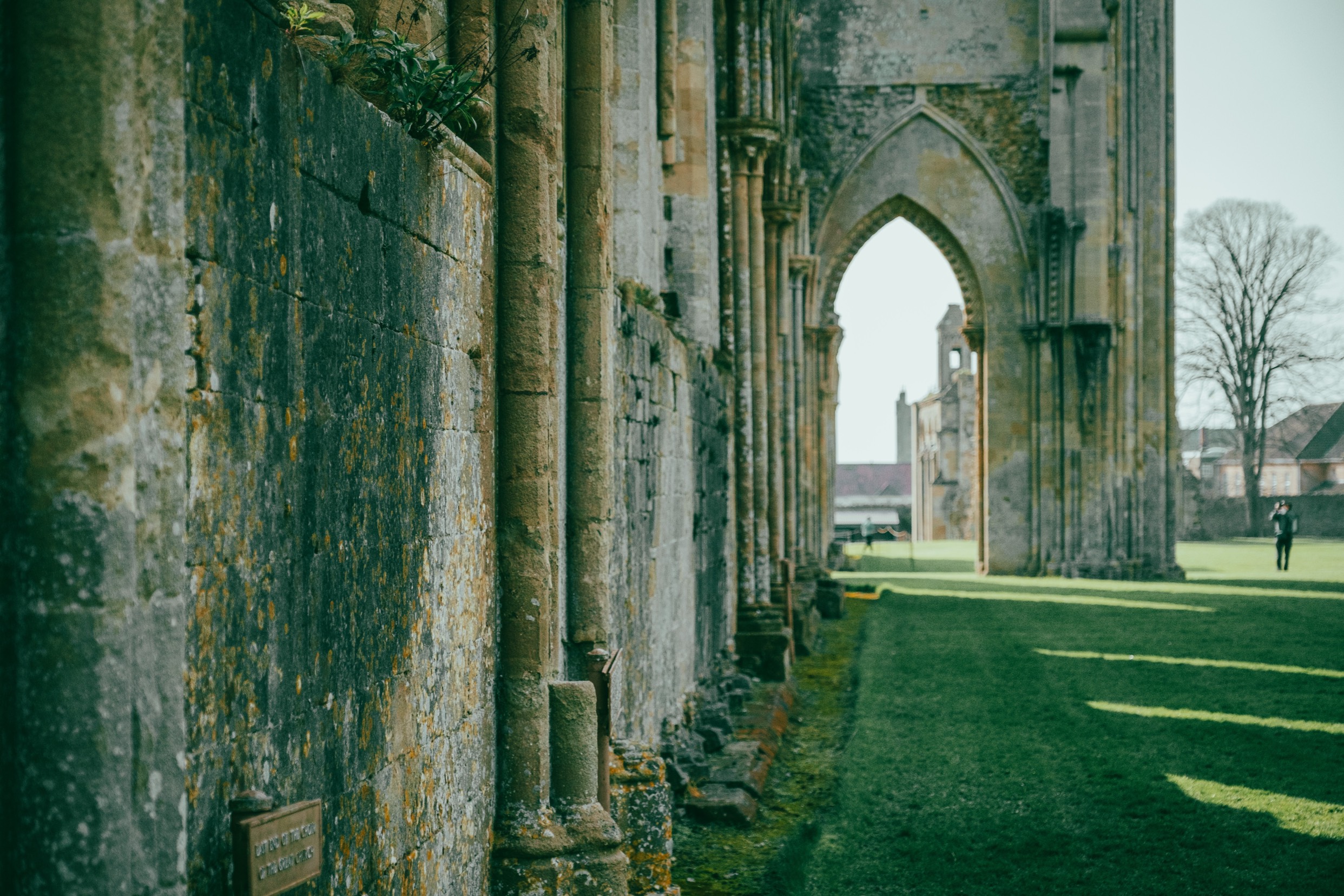 Glastonbury. Somerset. England.